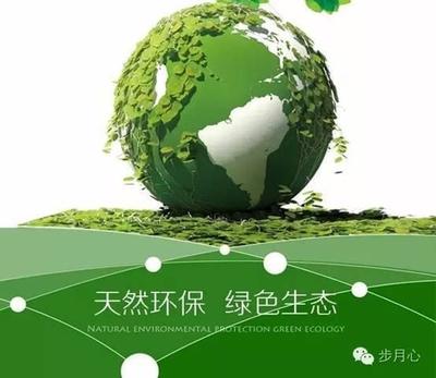 鳳凰老江發(fā)現(xiàn) 環(huán)?？萍既绾味x新時(shí)代的綠色生態(tài)好產(chǎn)品